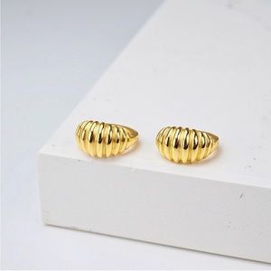 Noemi Rounded Striped Huggie Earrings 18K Gold S925